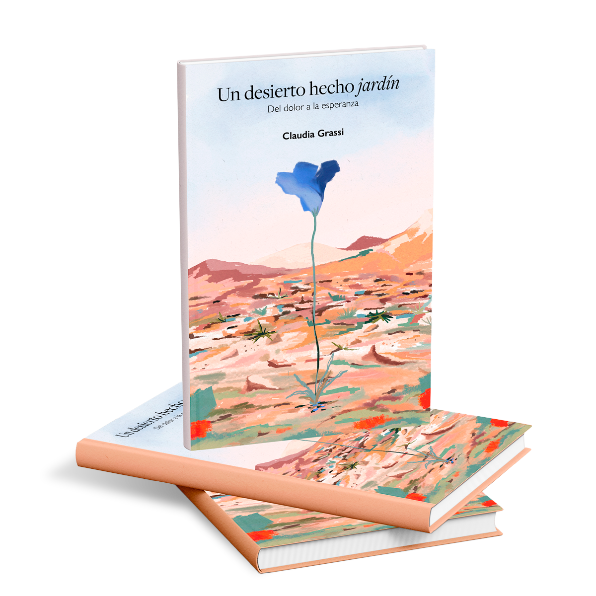 Portada de Un desierto hecho jardín, libro de Claudia Grassi